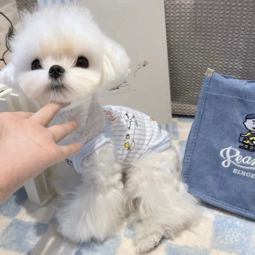 Nuby, летний мультяшный прохладный жилет, эффект подтяжки