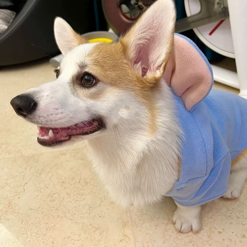 Демисезонный утепленный зимний жилет, осенний сезон