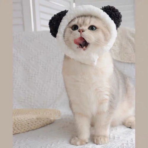 Милая шапка, аксессуар для волос, с медвежатами, наряжаться