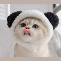 Черно -белая шляпа