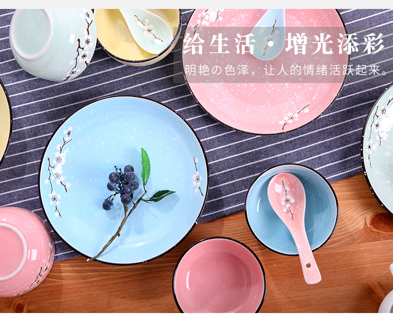 Use of the individual dishes suit job household ceramic Bowl tableware suit to use plates home always lovely home for dinner