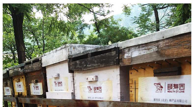 洋槐蜜480g内页 _08