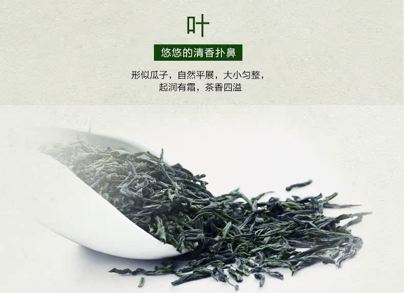 汉唐清茗 绿茶 特二级六安瓜片 2016新茶 罐装春茶 手工茶叶 包邮