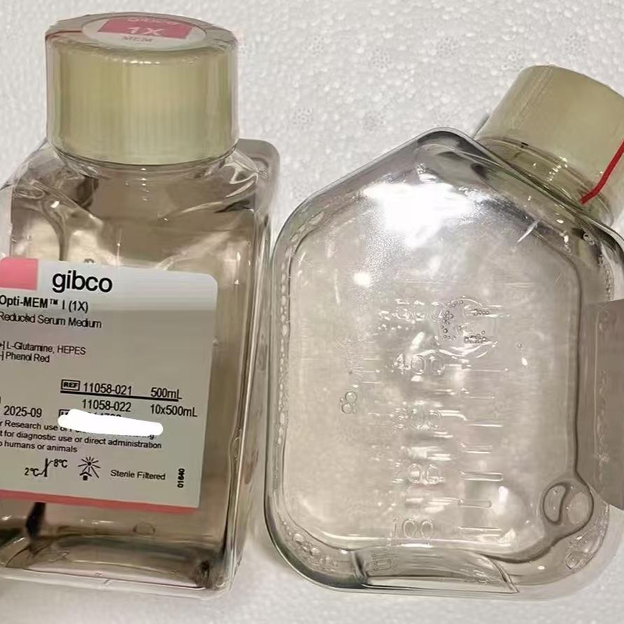 Gibco/Opti-MEM? I 减血清培养基，无酚红/11058021/500ml