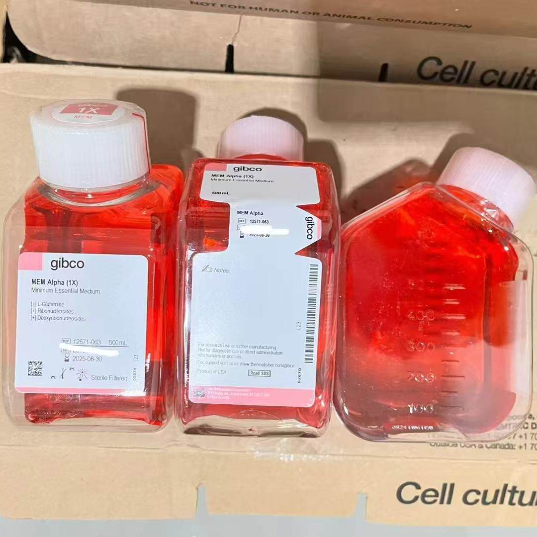 Gibco/MEM Alpha培养基/12571063/500ml