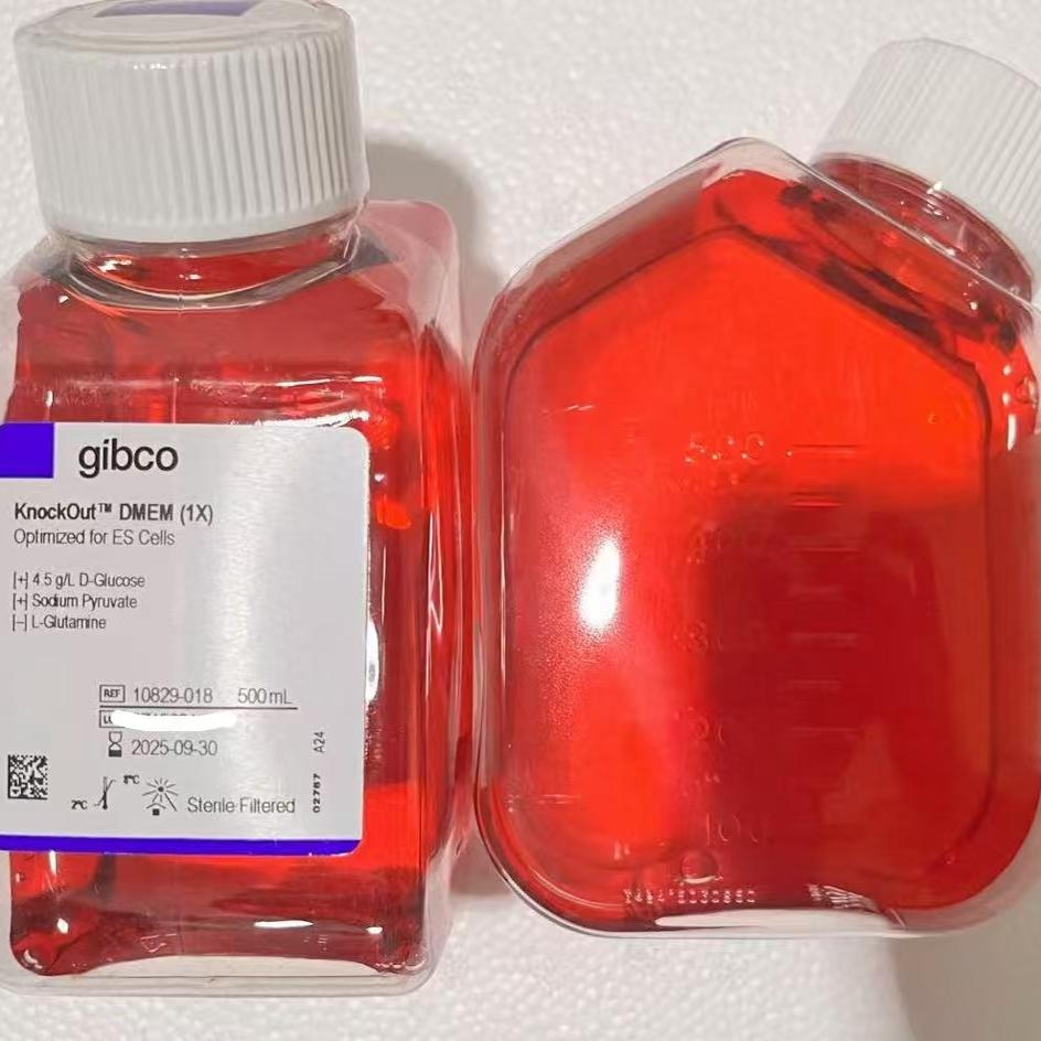 Gibco/KnockOut? DMEM/10829018/500ml