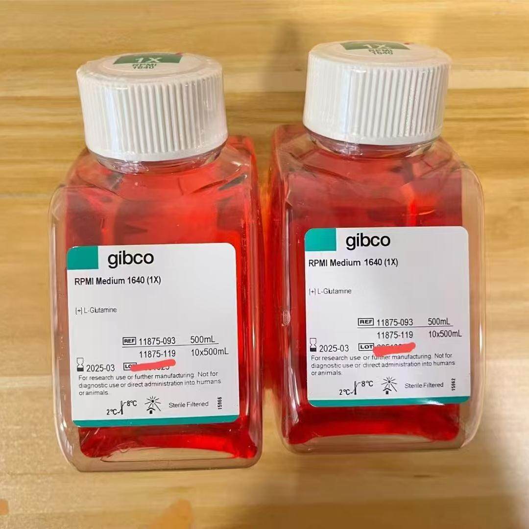 Gibco/1640培养基/11875093/500ml
