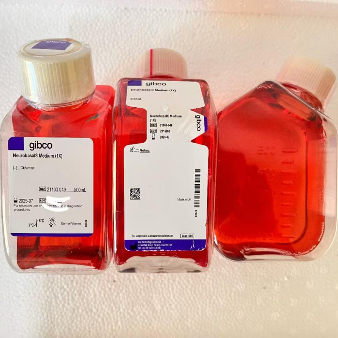 Gibco/Neurobasal神经元培养基/21103049/500ml