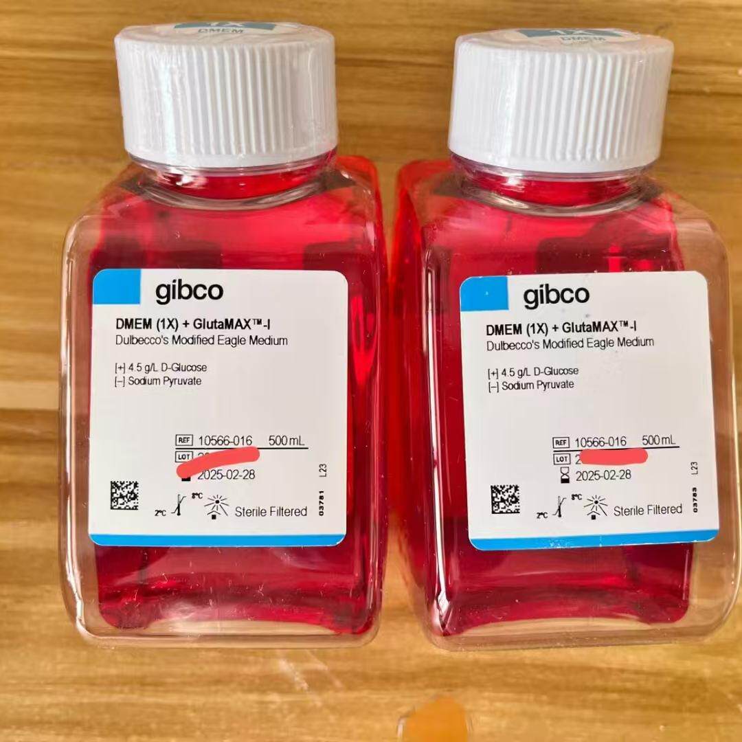 Gibco/DMEM，高糖，GlutaMAX? 添加剂培养基/10566016/500ml