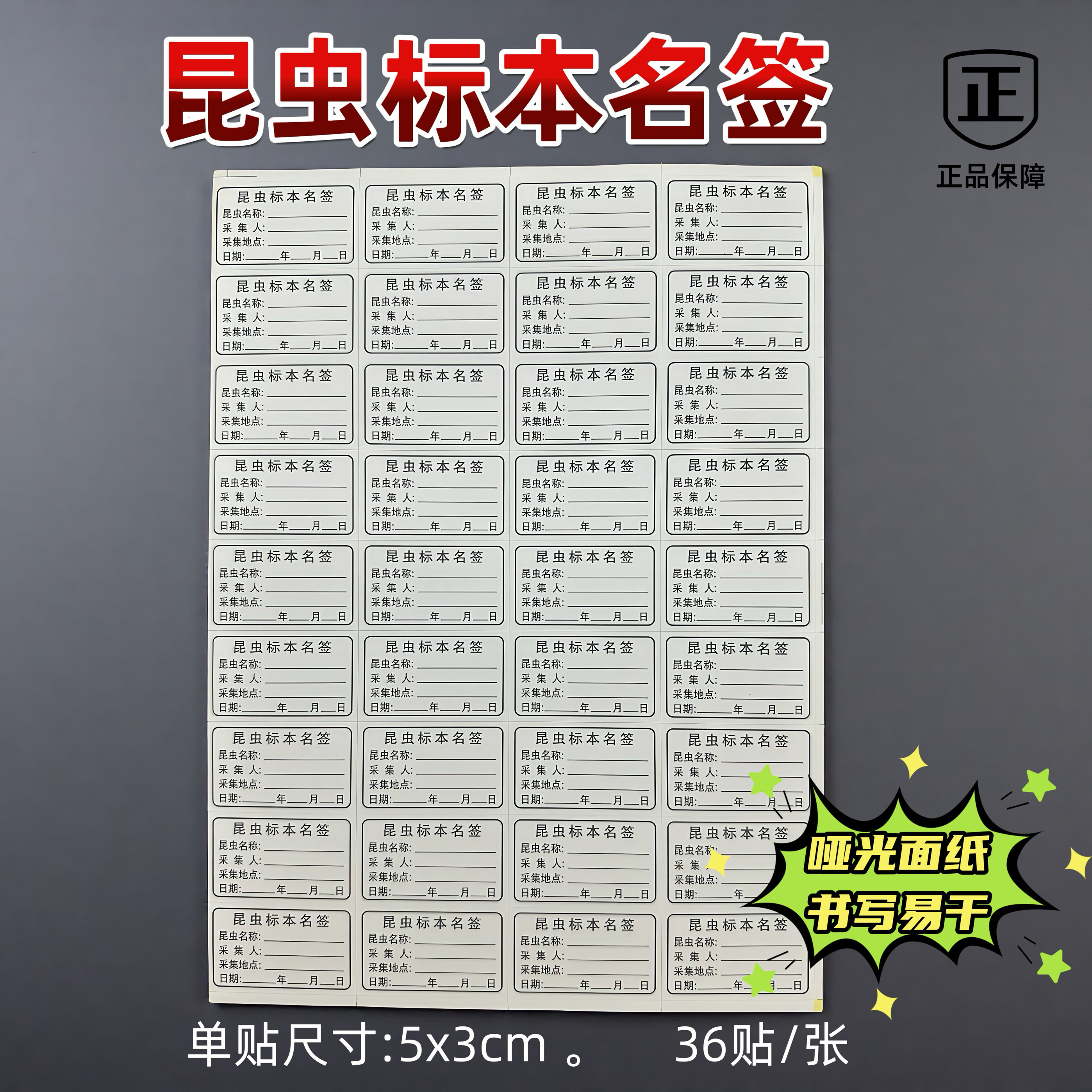 不干胶昆虫标本名签5*3cm哑光面易书写标本定名签可按要求定做!