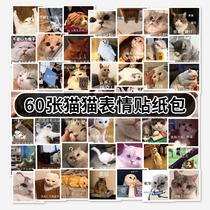 60 cat and cat emoji bag stickers funny cute stickers waterproof suitcase stickers decorative stickers set