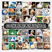 Duck emoji bag sticker luggage sticker decoration suitcase waterproof personality graffiti stickers funny stickers