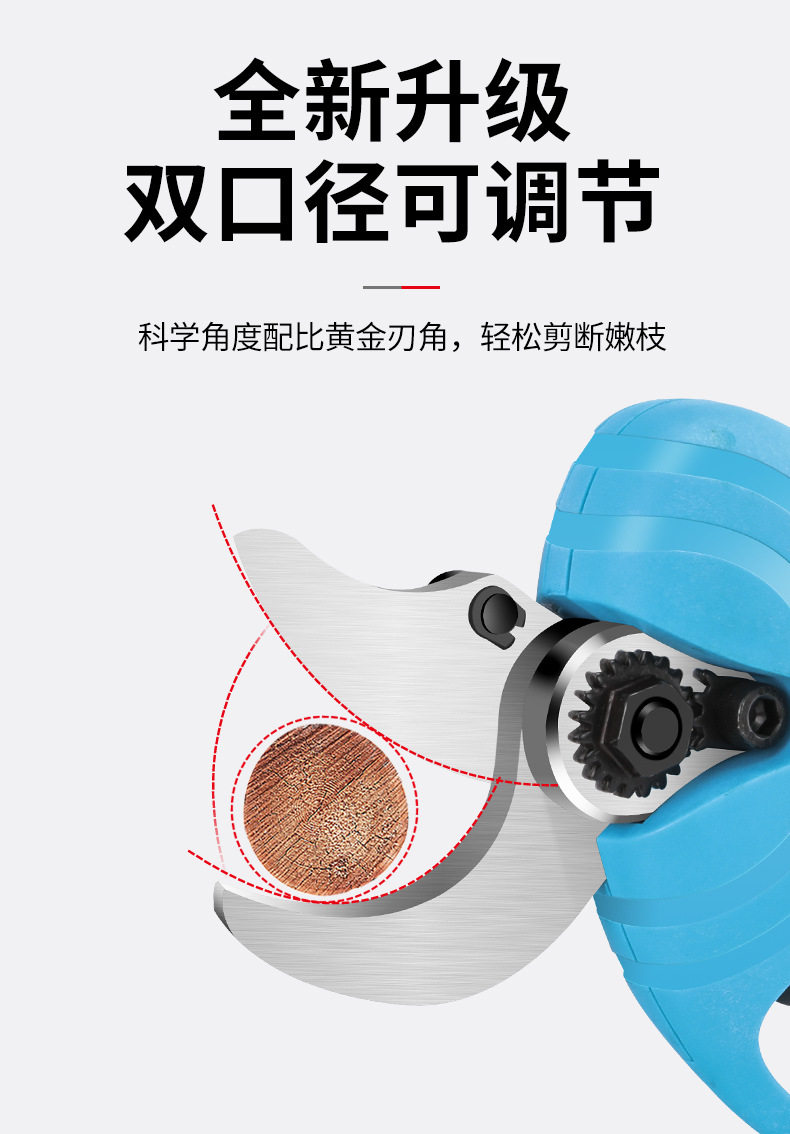 Норбиссоры лития_09