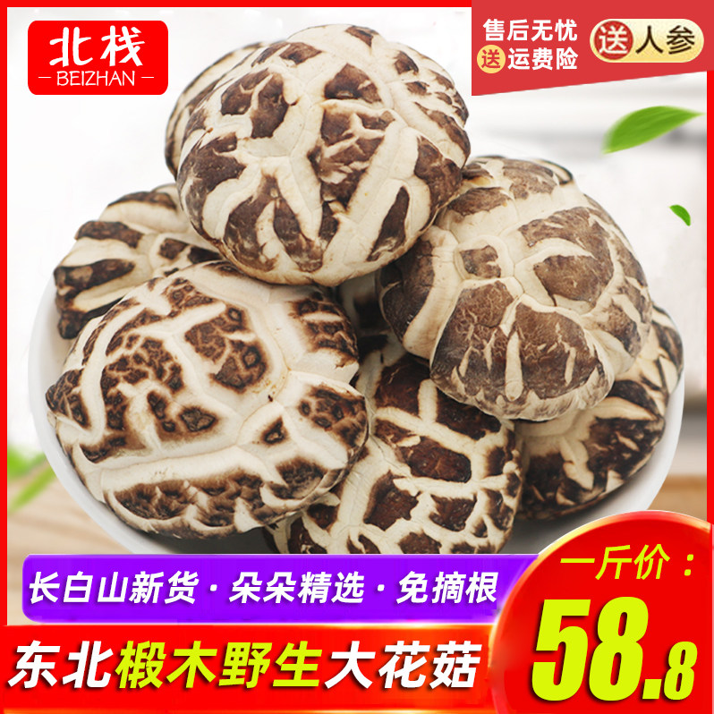 North East Long White Mountain Linden Wood Large Flower Mushrooms Dry Goods 500g Winter Mushrooms Mushrooms Wild Cut Foot Thick Dry Mushrooms Winter Mushrooms Bulk