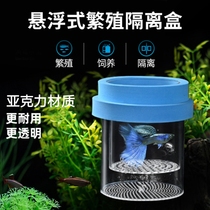 Guppy breeding box fish tank isolation box small fish juvenile fish mother fish delivery room floating acrylic incubator