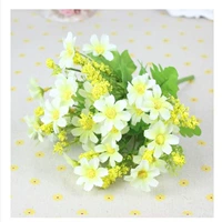 Сяо Зуджу Уайт