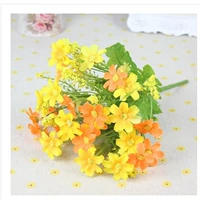 Сяо Зуджу апельсин