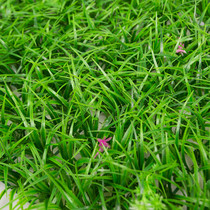 Direct Marketing Simulation Lawn With Flowers High Grass Plastic Lawn Fake Lawn Balcony Living Room Decoration Encrypted Lawn Artificial Grass