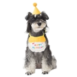 Шапка на день рождения для собаки, шнауцер, медведь, вечерние нагрудник на день рождения, нагрудник, полотенце, шарф, реквизит для фотосессии