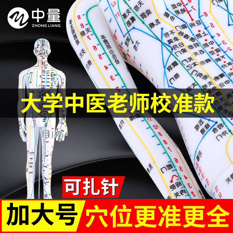 人体针灸穴位模型全身超清晰十二经络人形硅胶中医教学可扎针练习