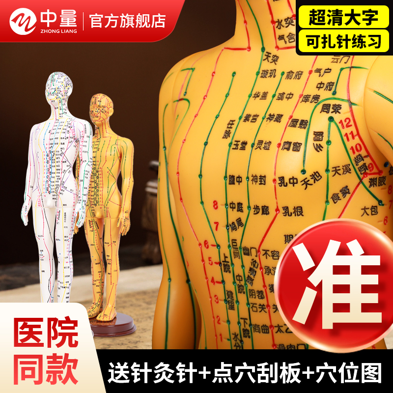 鍼灸経絡人体モデルツボ全身マップ12人のブロンズ男性シミュレーションヒューマノイドシリコン針刺し小さな革の男性