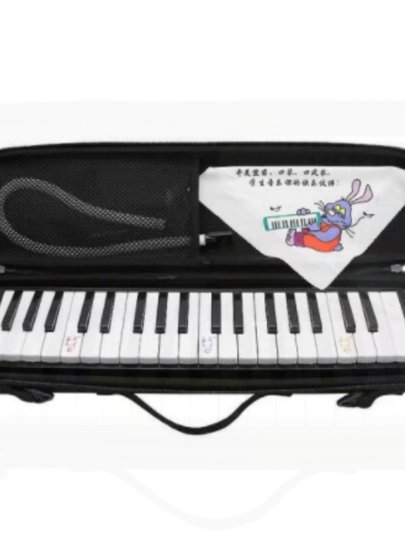 奇美牌口风琴37键小冠军轻便硬盒包口风琴学生用儿童成人吹管乐器