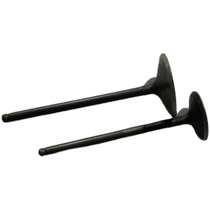 Suitable for Gwangyang PEOPLE 250 rowing 250 300 CT250 CT300 cylinder head intake valve exhaust valve