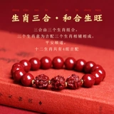 Браслет, оберег на день рождения, талисман, 2024 года, новая коллекция, цвета киновари