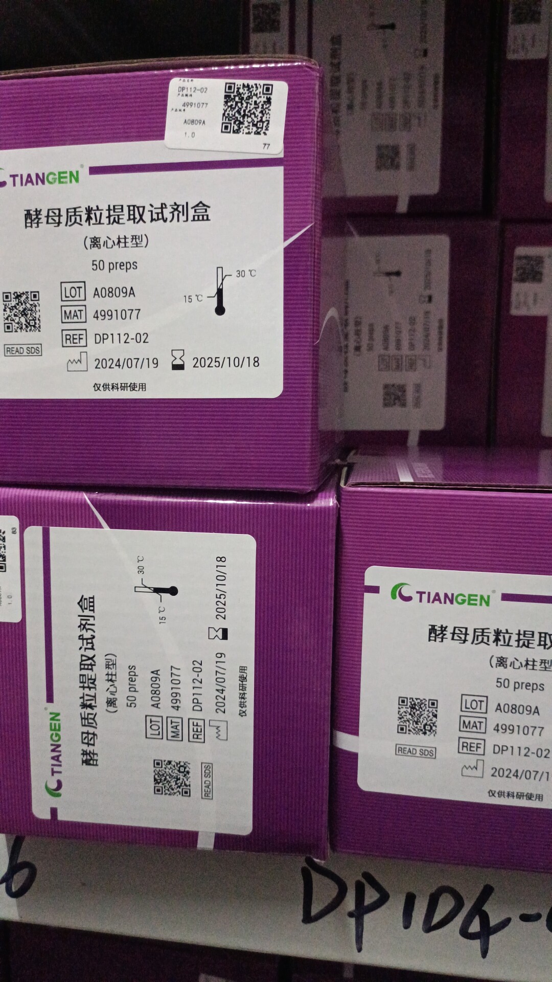 酵母质粒提取试剂盒 50次 DP112-02【天根 TianGen】现货现发正品