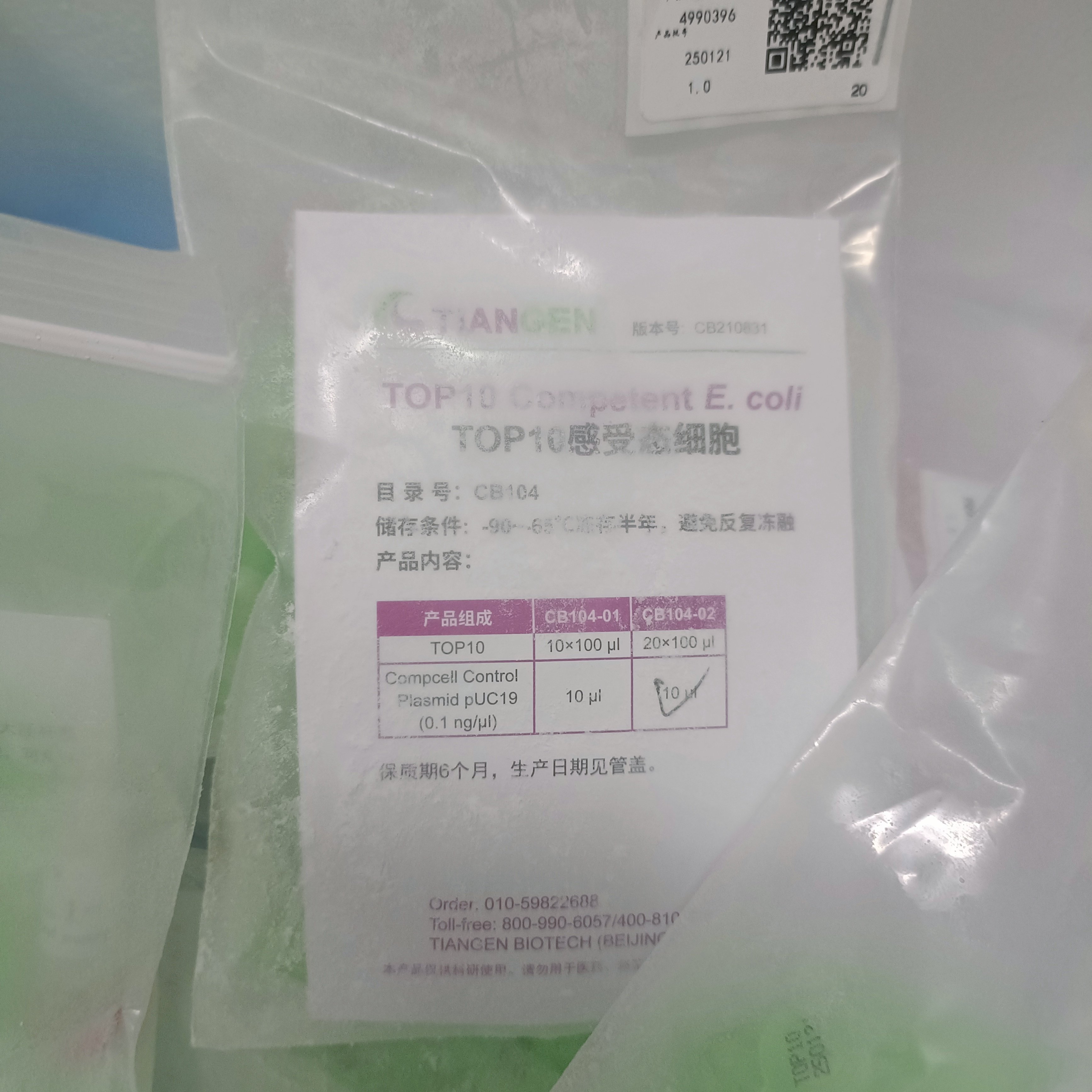 天根感受态TOP10感受态细胞，100ul*20支，现货现发江浙沪皖包邮