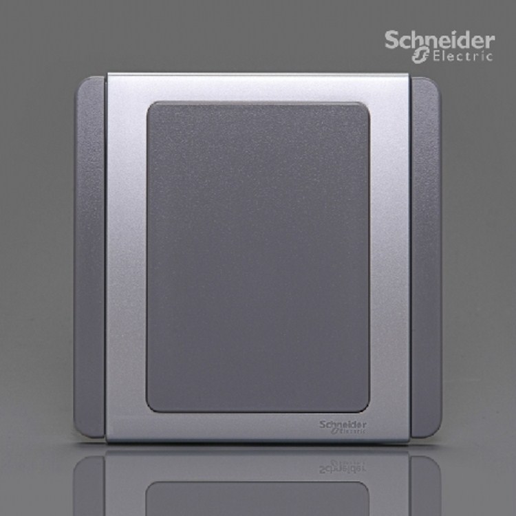 Schneider E3000 series whiteboard blank panel E3030X silver gray five-hole special price