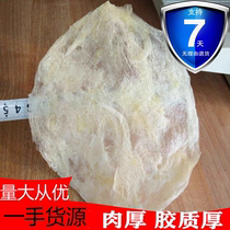 North Sea Terroy Seafood Dry Goods Fresh Beauty Nourishing Manfish Gum Small Fish Belly Hotel Flower Glue Bubble Cylinder 1 catty