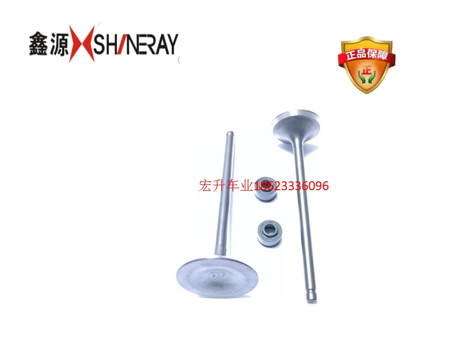 Original factory Xin Yuan Xiao X5 Xun Long magician XY250-6B- balance shaft chain machine VJ250 valve