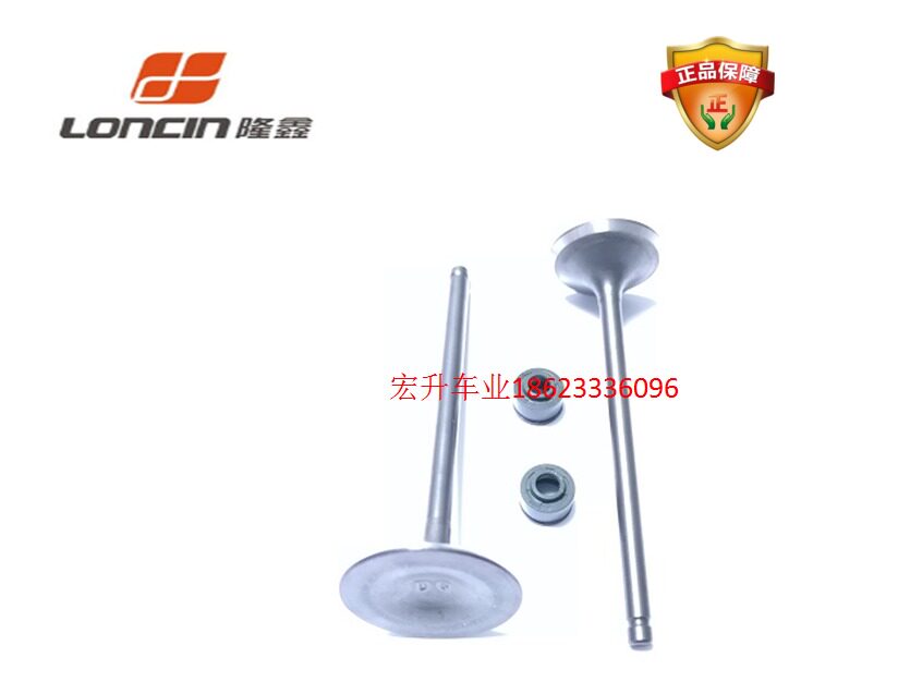 Original Lungxin Garnst wins the Yellow River Hangship Magician New Feeling RE200 250 valve