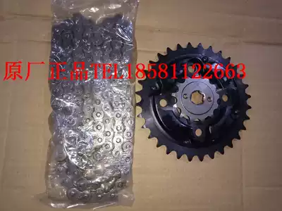 Rebel WELS 250 water-cooled 300 Harley locomotive partial three-wheeled fork 520 thickened chain chain plate set chain