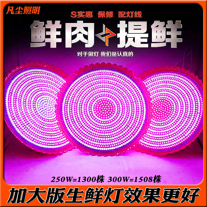 LED pork light Fresh light Cooked meat stewed meat light Fresh meat light Market fruit light High-power dimming super bright red light