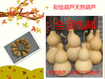 Natural gourd art Painting with gourd painting Hand-painted gourd text play ornament Carving with gourd