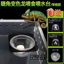 Climbing Spotting Tree Shelter Reptile Feeder Suction Cup Mascara ciliary goalkeeper discoloration limonic dragon water basin Feeding instrumental