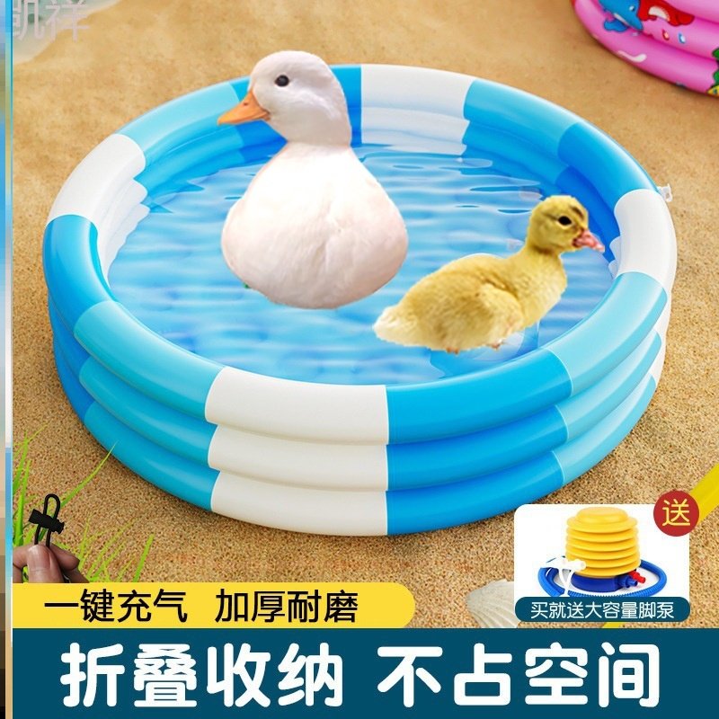 Pool Party Pets A must-have swimming pool for pets, a summer blessing for cute pets 💧 🐾