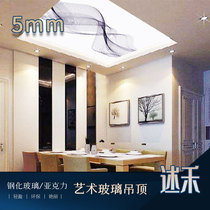 Line art tempered glass acrylic transparent ceiling simple living room porch corridor aisle ceiling customization