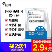 Novecon veterinary drug Veterinary amoxicillin soluble powder Anti-inflammatory premix Aquatic cattle sheep and pigs medicine Poultry and chicken medicine