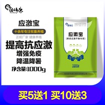 Novecon Stress Booster 1kg Veterinary Pig Rabbit Cattle Sheep Poultry Chicken Cooling Summer 1324