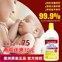 Australia canesten Bayer disinfectant laundry detergent household underwear clothes clothes underwear baby children pregnant women