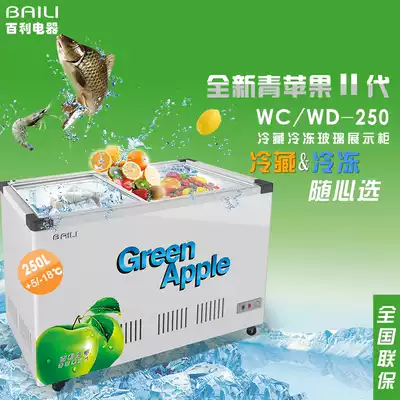 Bailey WC WD-250 horizontal glass door freezer supermarket shop shop refrigerated frozen ice cream drink display cabinet