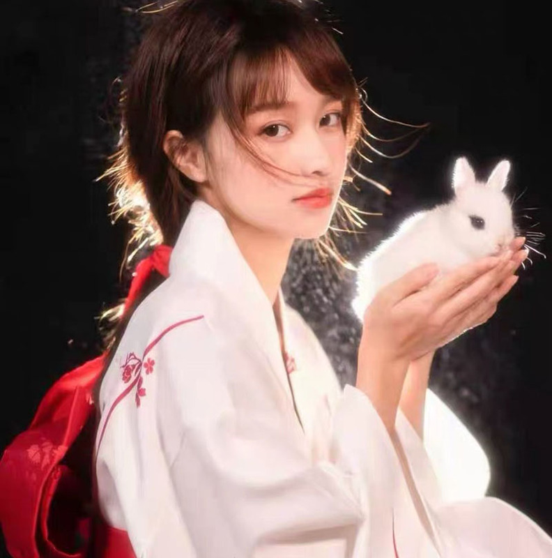 Simulated Rabbit Props, White Rabbit, Mid-Autumn Festival Jade Rabbit, Ancient Style Photography, Photo Shoot, Catwalk Model, Plush Ornament
