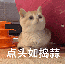 肌肤重回水嫩,就靠这瓶精华水啦!