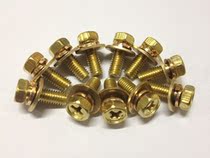 Copper combination screw 10 parts