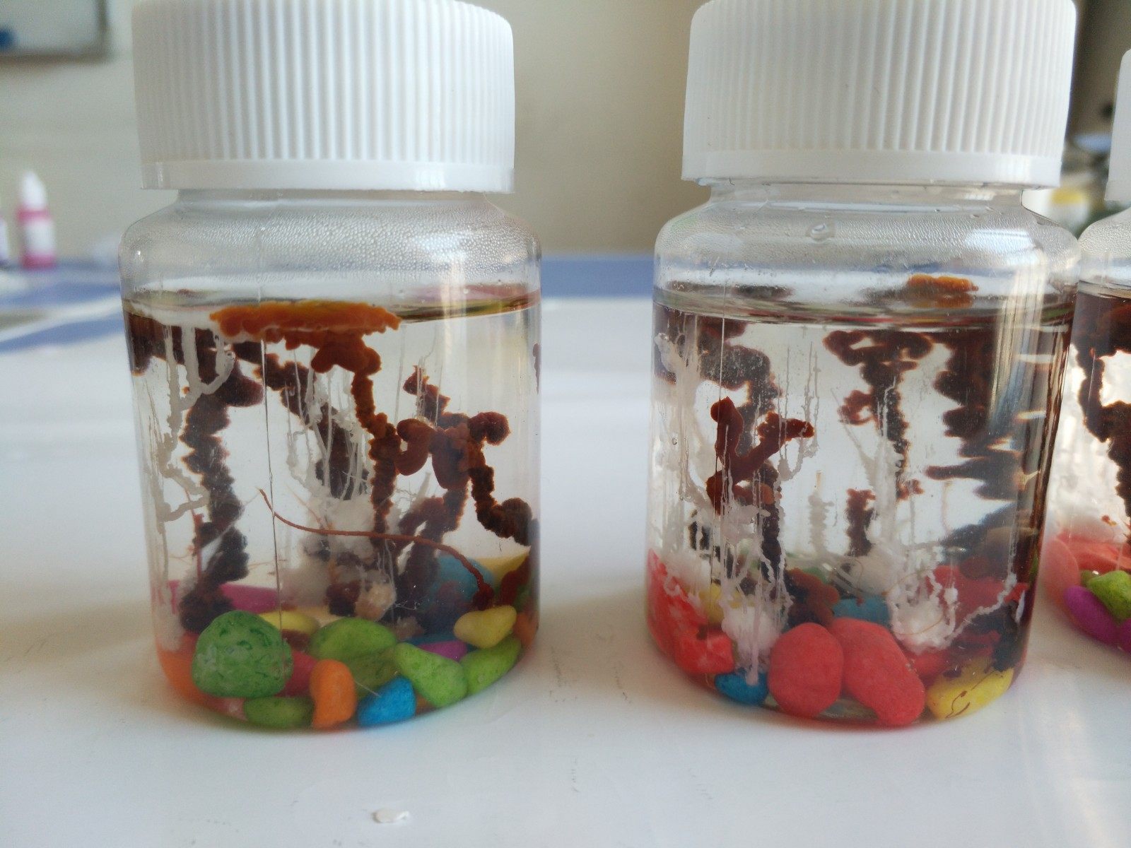 水中花园趣味儿童益智手工科学实验套装幼儿园小学生启蒙DIY材料
