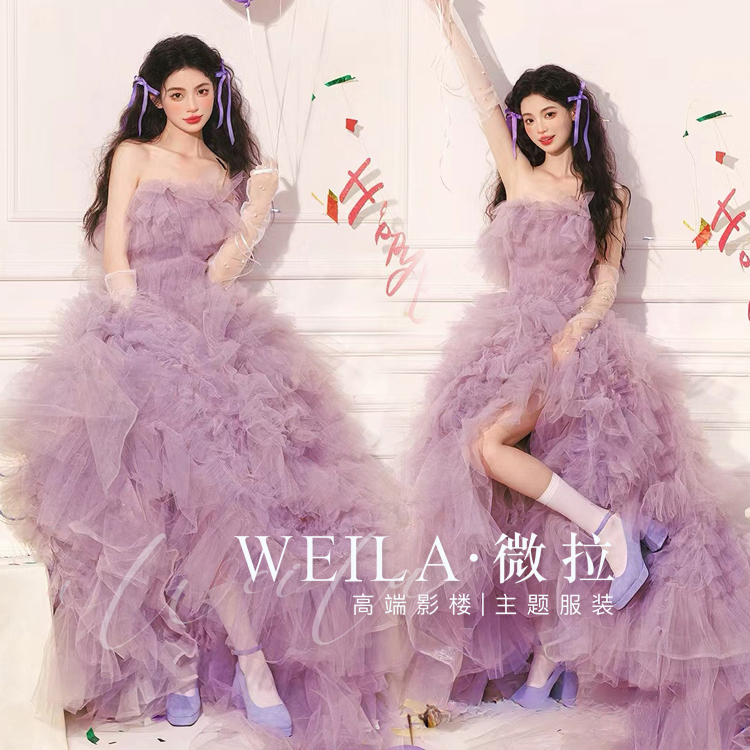 Purple Tube Top Tulle Dress for the Fugitive Princess's Birthday Party, Sweet Girl Photo Studio Photo Shoot Outfit