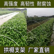 Glass fiber arch shed bracket elastic bar Arch Rod Large Shelf Solid Vegetable Shelf Agricultural Flower Shed Insulation Shed Arch